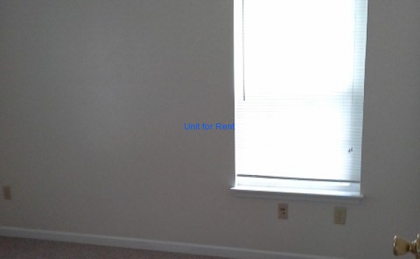 Downstairs Back Bedroom