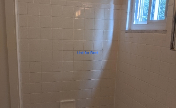 Downstairs Bath