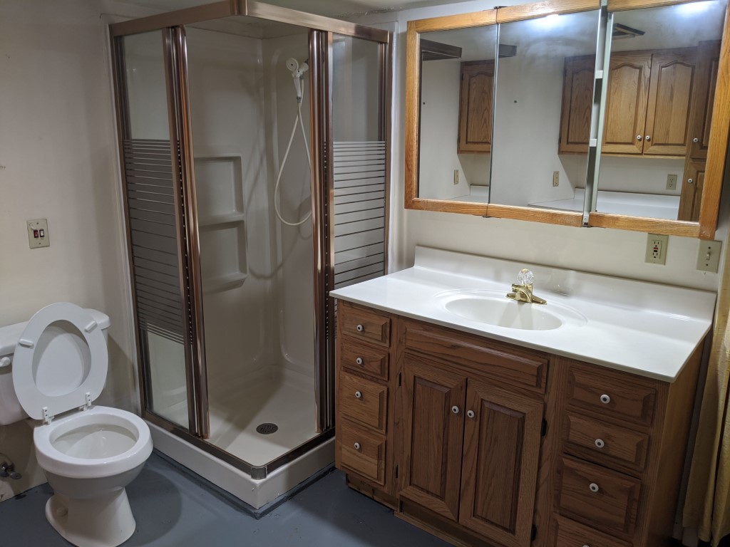 basement bathroom