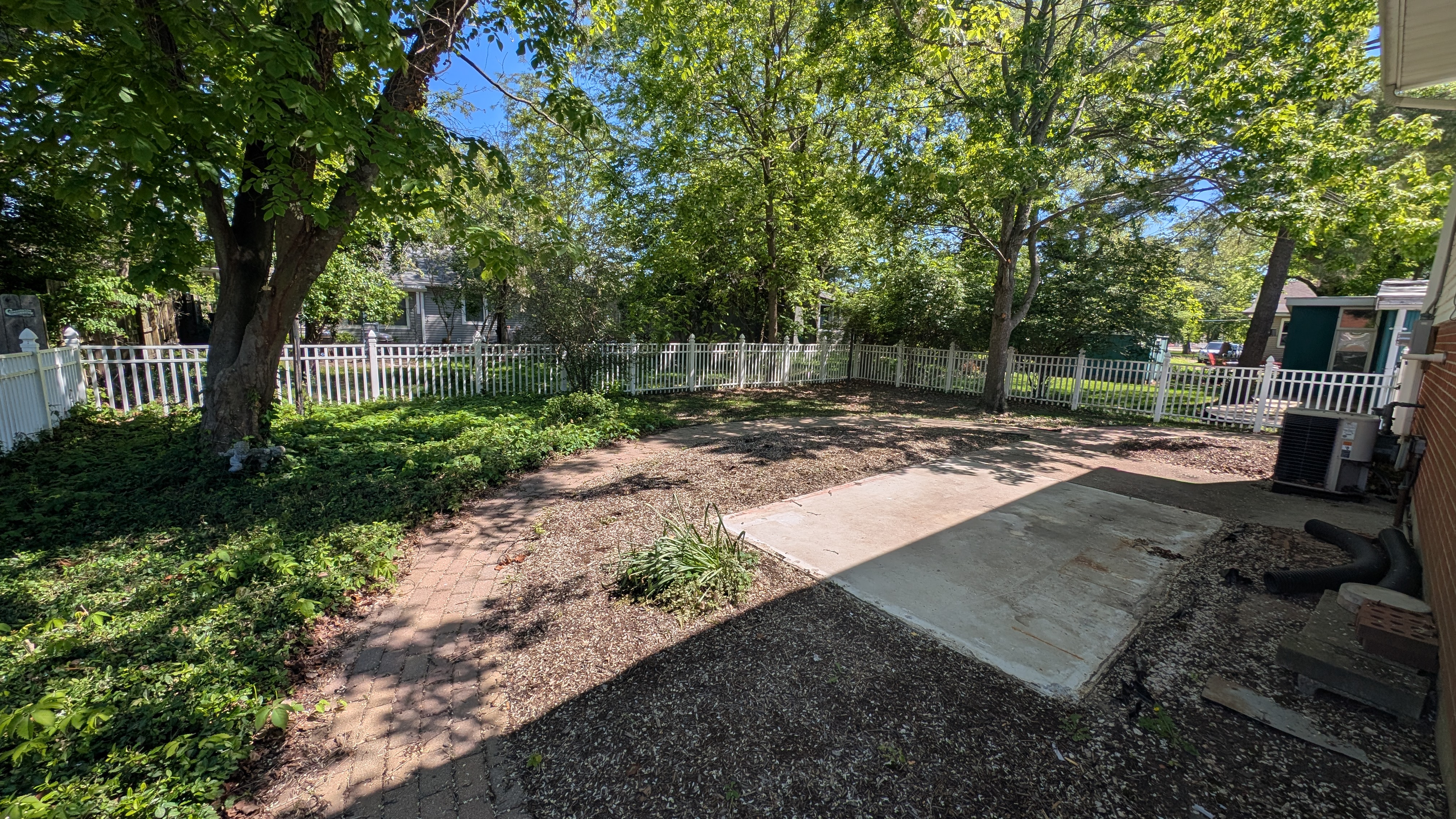 Back Yard
